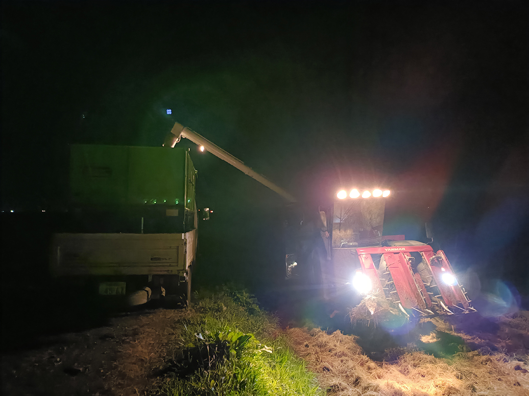 令和7年度稲刈り終了